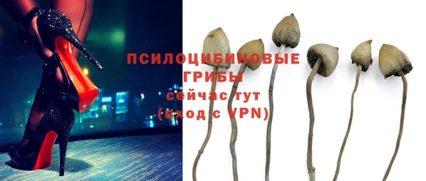 молекула духа Белоозёрский
