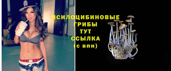 молекула духа Белоозёрский