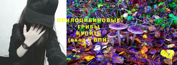 молекула духа Белоозёрский