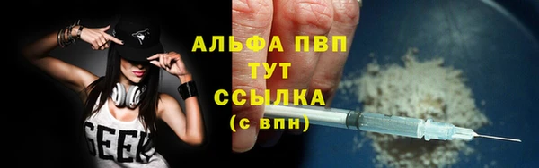 молекула духа Белоозёрский