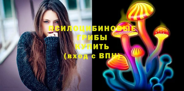 прущий лед Белокуриха