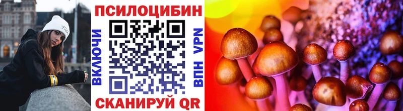 Галлюциногенные грибы Cubensis  Тогучин 