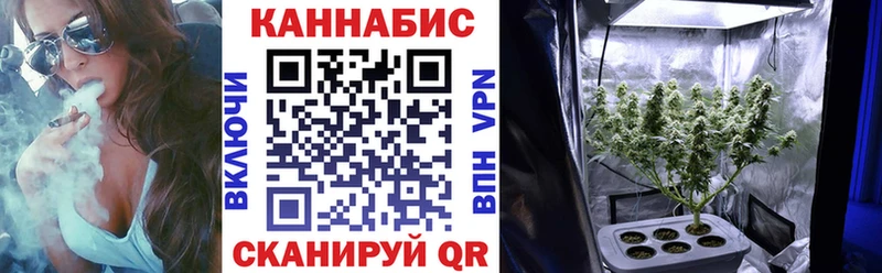 Конопля план даркнет наркотические препараты Тогучин